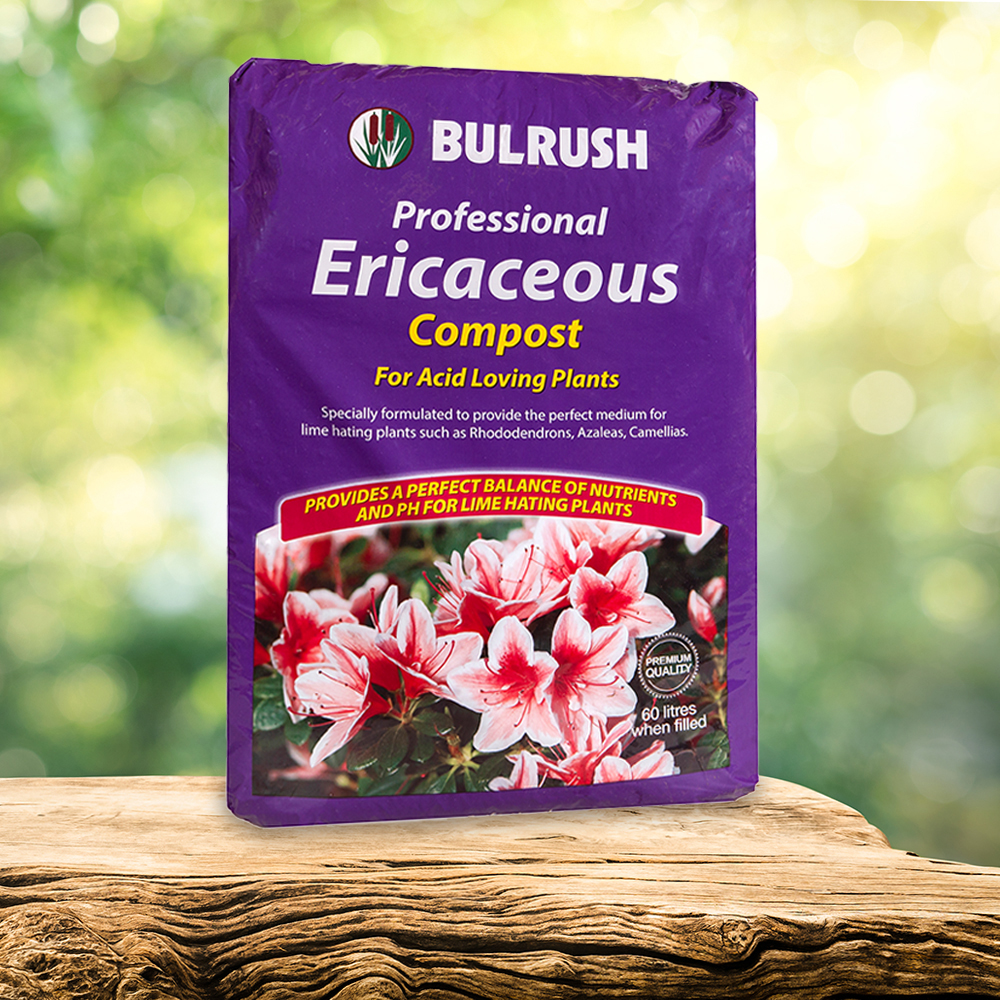 Ericaceous Compost 60L Bag for Acid Loving Plants 5056214006197 | eBay